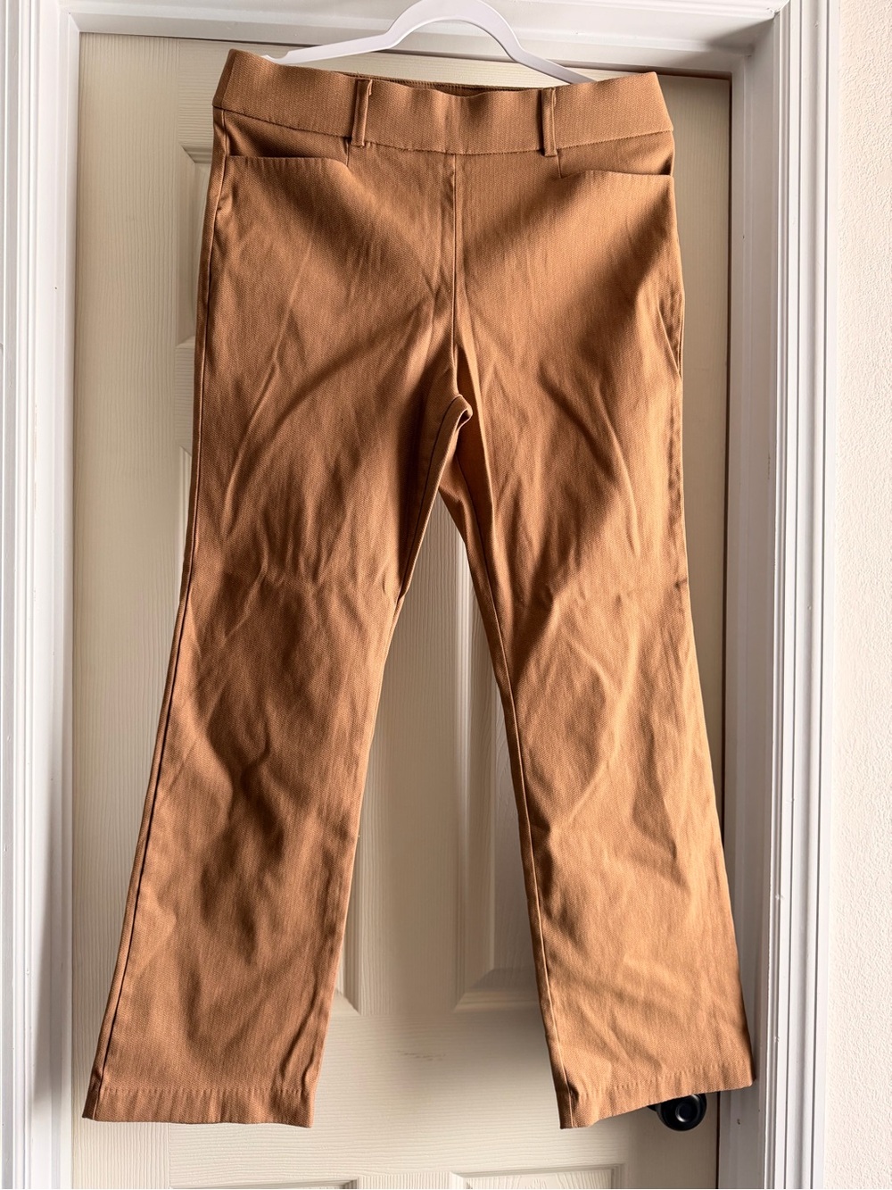 Maurices Bootcut Dress Pants Brown L Short Pull-On Career Pants